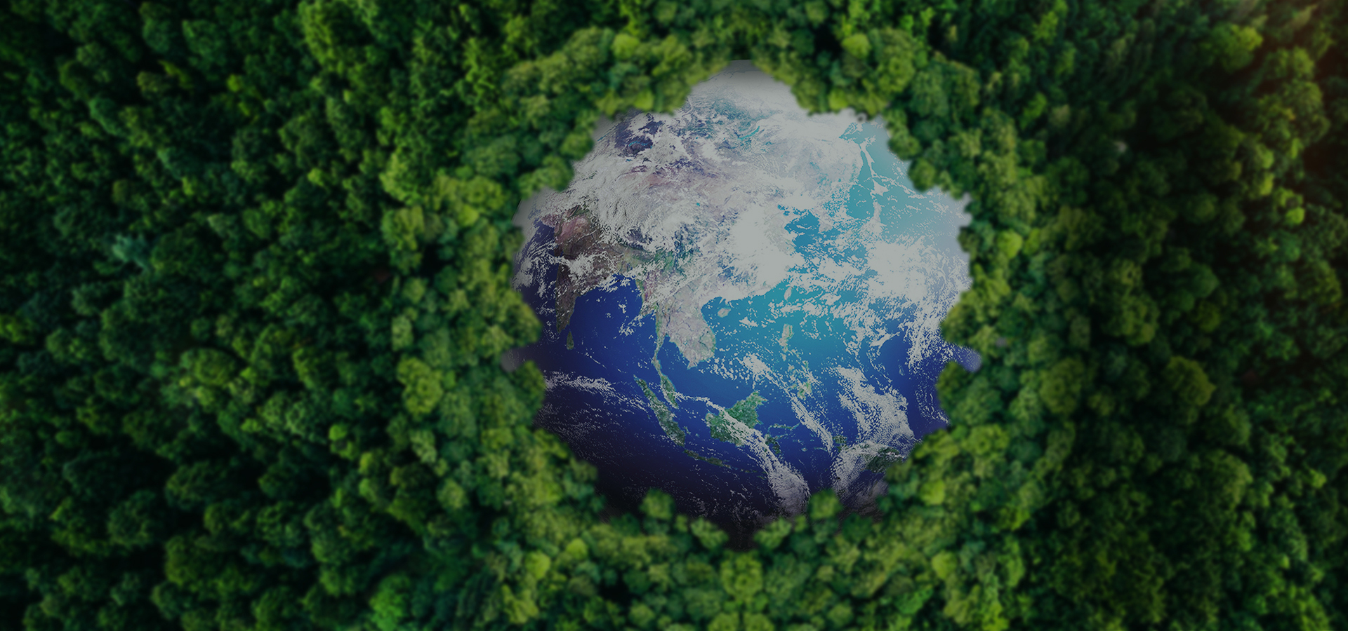 致力于實現2050年零碳排放量指標